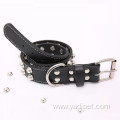 Leather Dog Collar Bullet Rivets With Cool